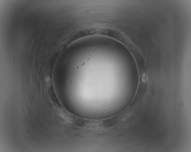 X0000083010771200702091250