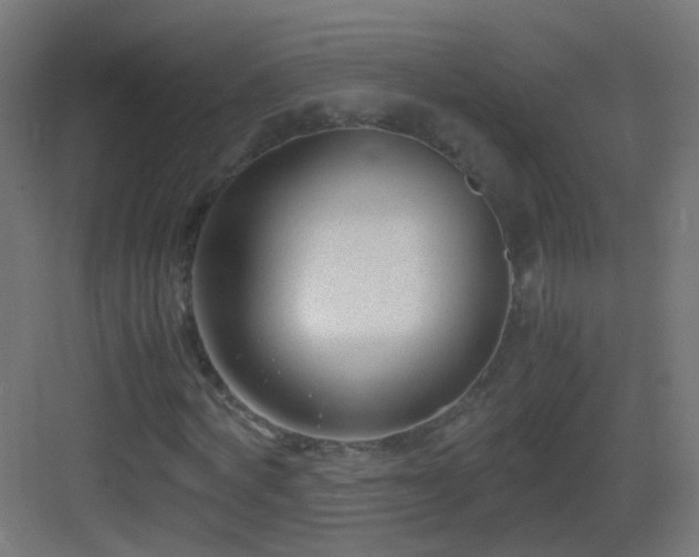 X0000083010772200702091250