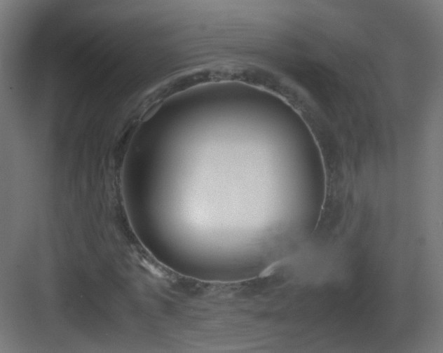 X0000083010773200702091250