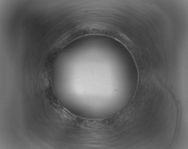 X0000083010774200702091250