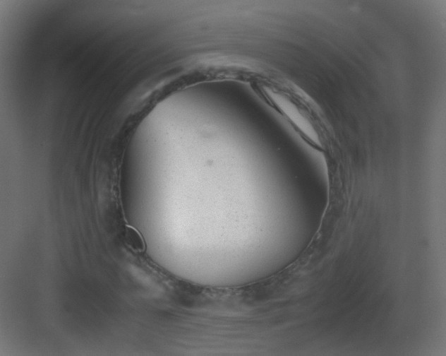 X0000083010775200702091250