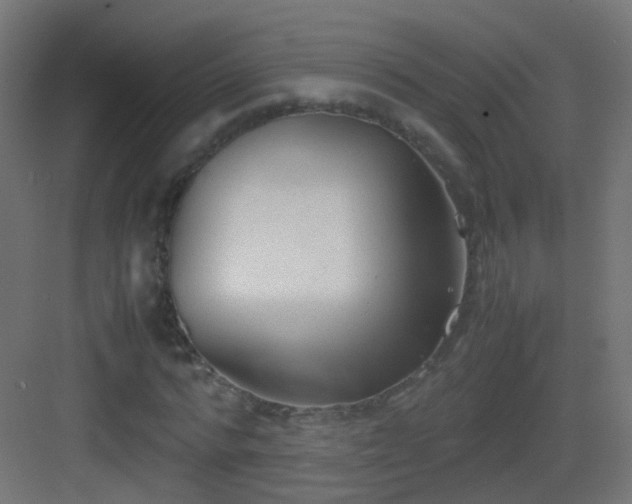 X0000083010776200702091249