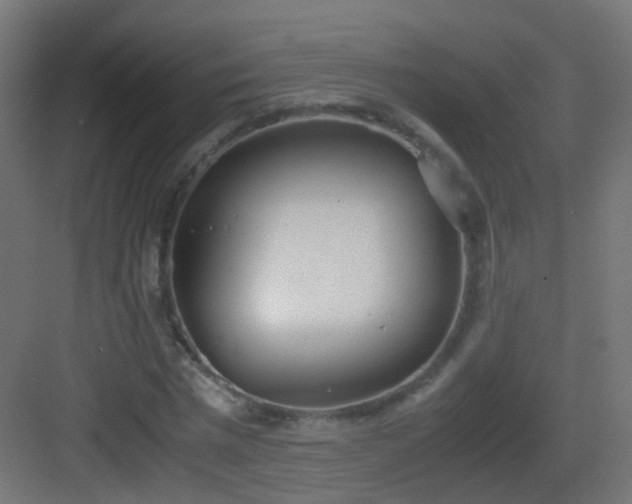 X0000083010777200702091249