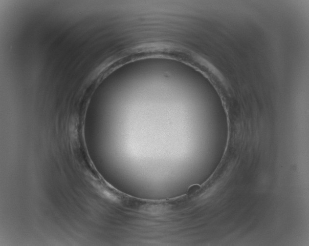 X0000083010778200702091249