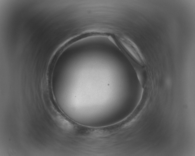 X0000083010779200702091249