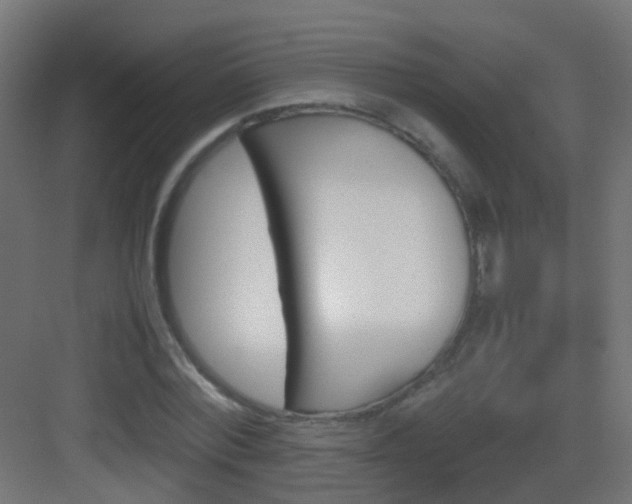 X0000083010780200702091249