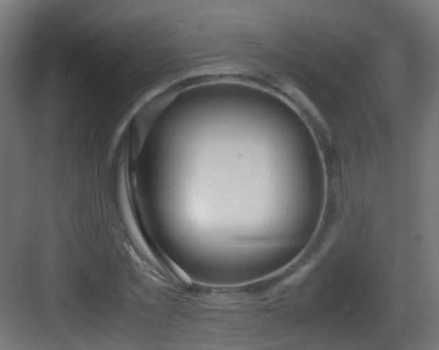 X0000083010781200702091249