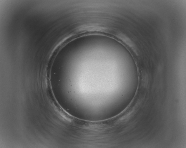 X0000083010782200702091249