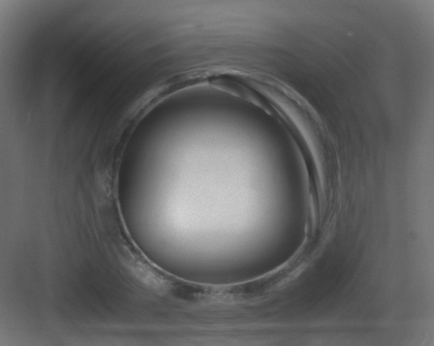 X0000083010785200702091249