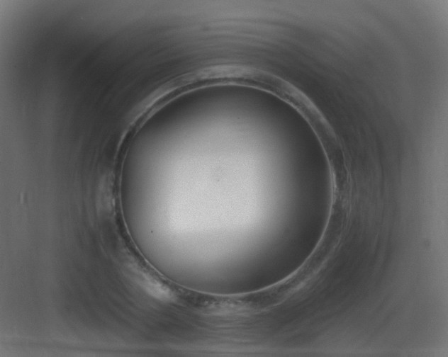 X0000083010786200702091249