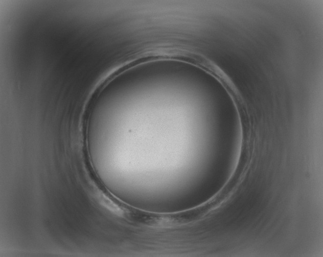 X0000083010787200702091249