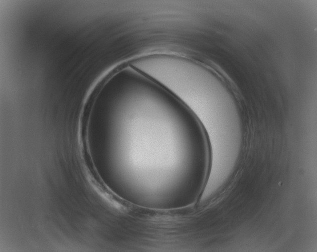 X0000083010788200702091249