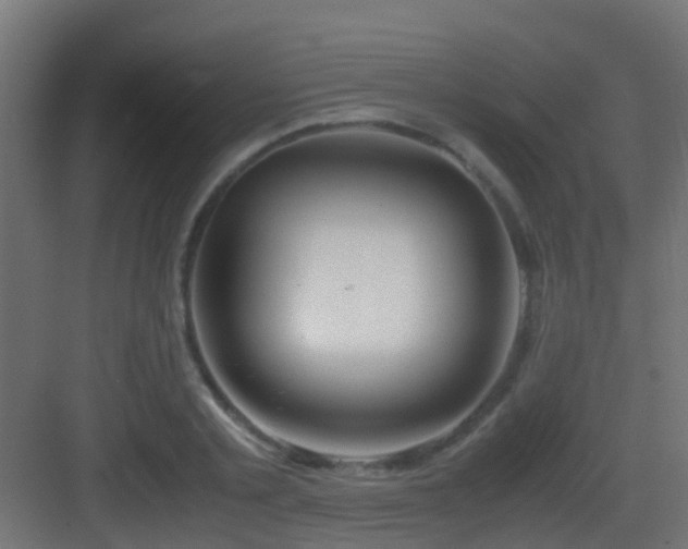 X0000083010789200702091249