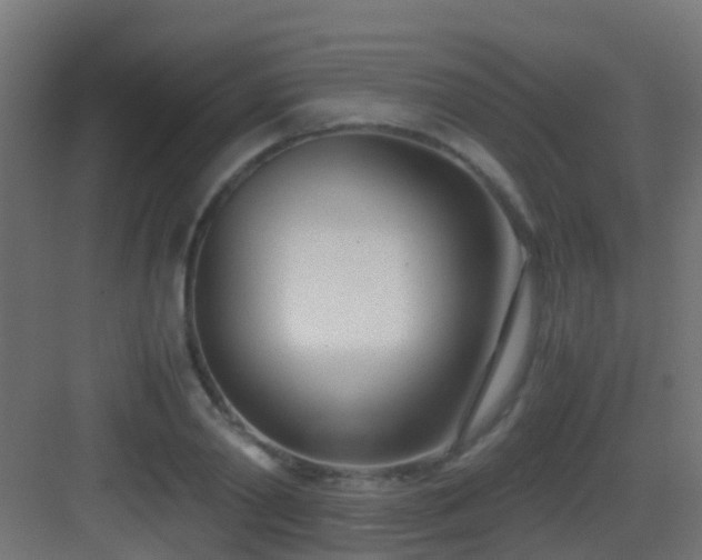 X0000083010790200702091249