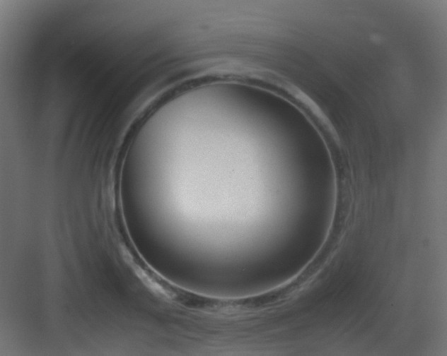 X0000083010791200702091249