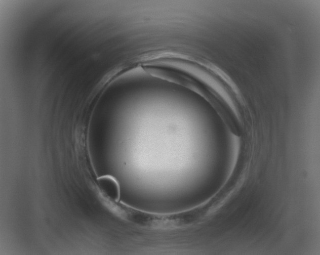 X0000083010793200702091249