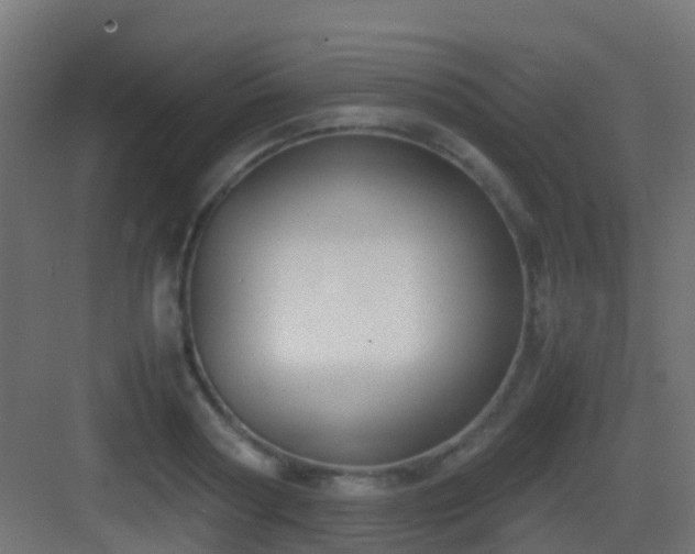 X0000083010794200702091249