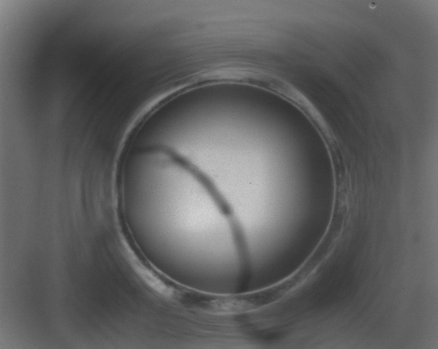 X0000083010795200702091249