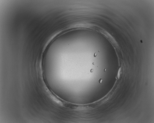 X0000083010796200702091249