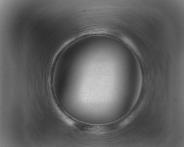 X0000083010797200702091249