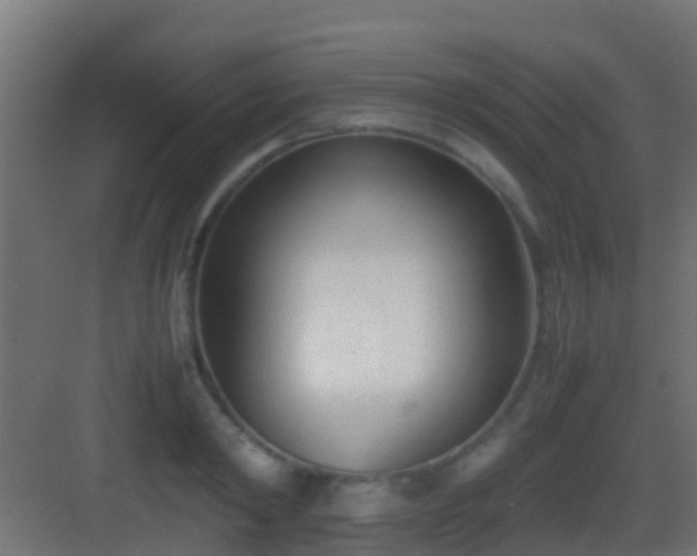 X0000083010798200702091249