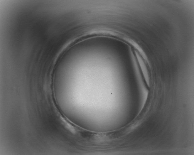 X0000083010799200702091249