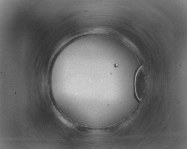 X0000083010800200702091249