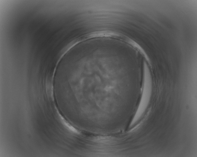 X0000083010802200702091249