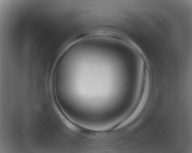 X0000083010803200702091249