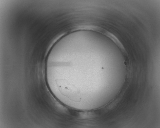 X0000083010804200702091249