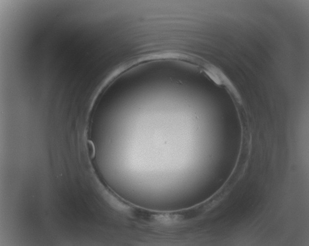 X0000083010805200702091249