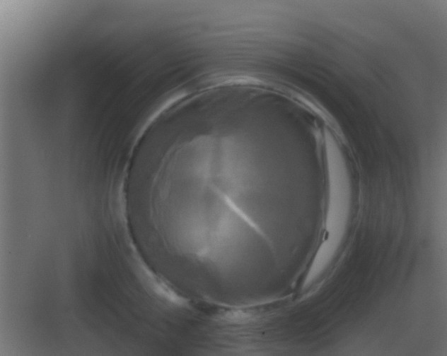 X0000083010806200702091249