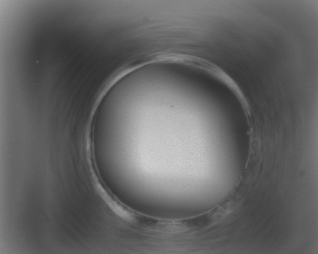 X0000083010811200702091249