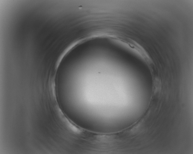 X0000083010812200702091249