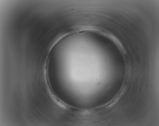 X0000083010814200702091249