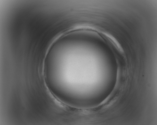 X0000083010815200702091249