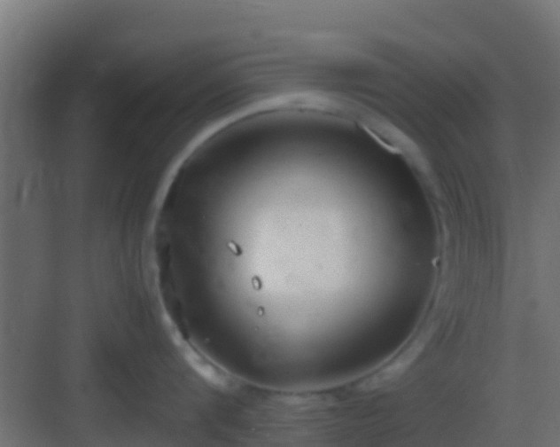 X0000083010816200702091249