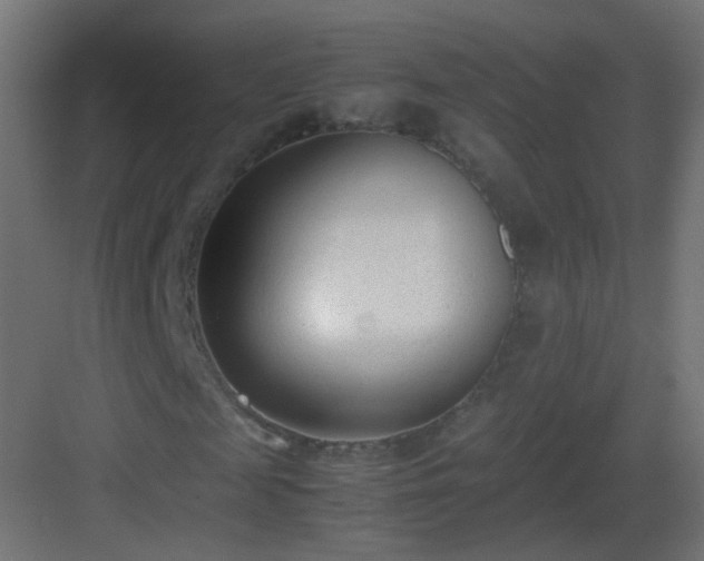 X0000083010817200702091248