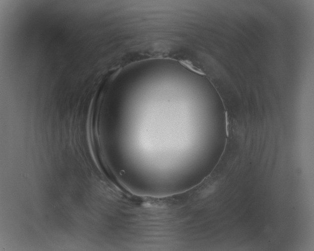 X0000083010818200702091248