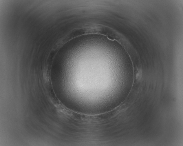 X0000083010819200702091248