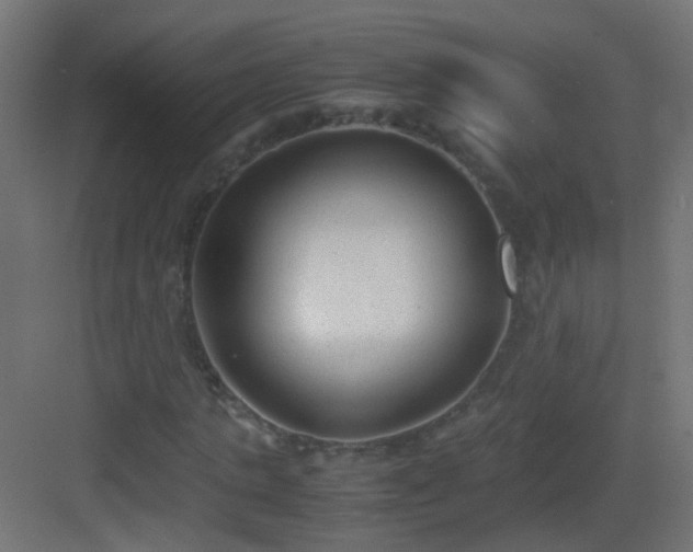 X0000083010821200702091248