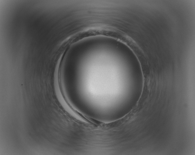 X0000083010822200702091248