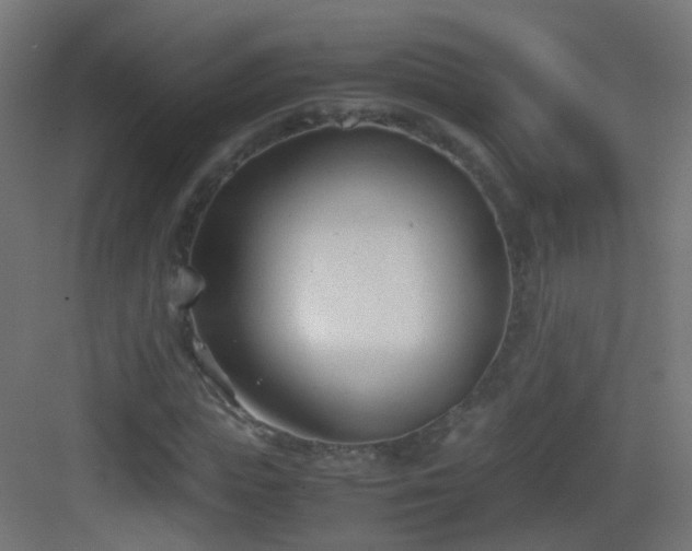 X0000083010823200702091248