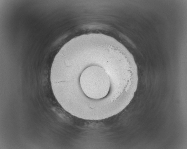 X0000083010824200702091248