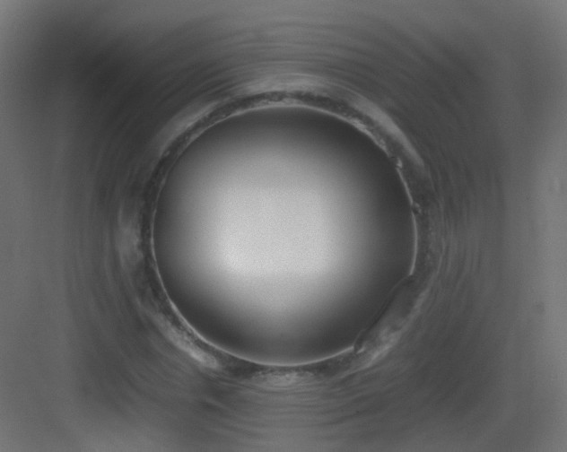 X0000083010826200702091248