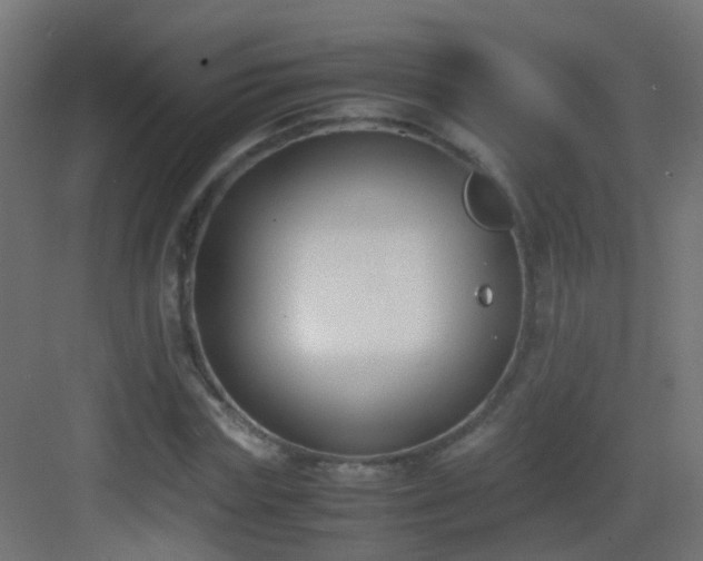 X0000083010827200702091248