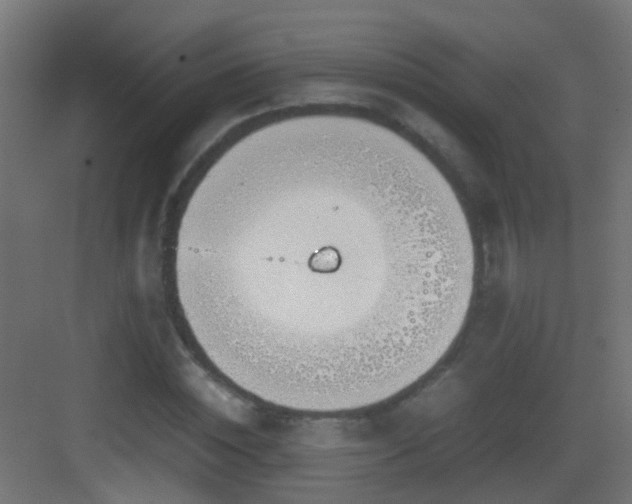 X0000083010828200702091248