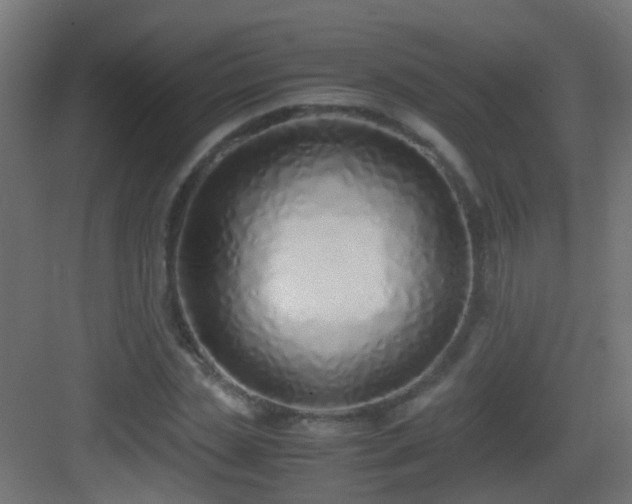 X0000083010829200702091248