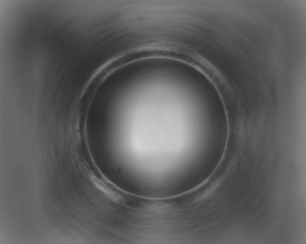 X0000083010830200702091248