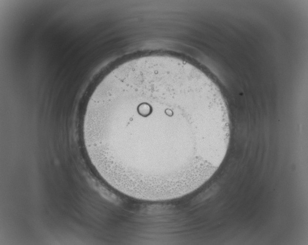 X0000083010832200702091248